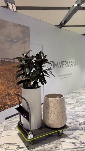 1.2K views · 60 reactions | If you want it lush, we’ll bring it. From Westfield drop-offs to your front door — we deliver across all of Sydney. Commercial. Residential. Retail. Your dream space starts here. Sydney’s most LUSH for LESS.  CARINGBAH - 191 Taren Point Rd  NORTH PARRAMATTA - 1 Bourke St  OPEN 7 DAYS  LUSH FOR LESS  DELIVERY AVAILABLE  250+ ⭐️⭐️⭐️⭐️⭐️ GOOGLE REVIEWS | Indoor Plant Shed | Facebook