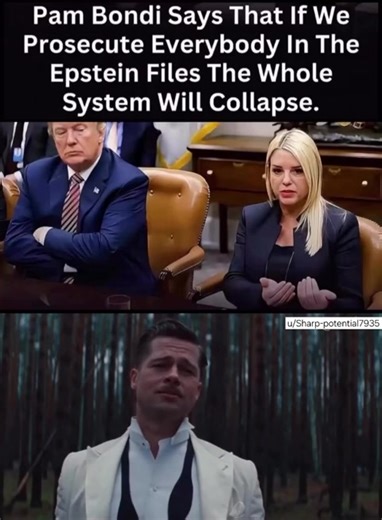 make that deal #bradpitt #bondi #funny #viral #trending | Bradpitt