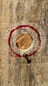 1.1M views · 5.9K reactions | Ancient technique for perfect hole saw holes#PerfectHole #AncientTechnique #ProWoodworking | Do It YourSelf | Facebook