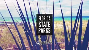36K views · 462 reactions | Are you ready for a Real Florida adventure? There are 174 unique places to celebrate your Spring Break. Share your photos using #FLStateParks | Florida State Parks | Facebook