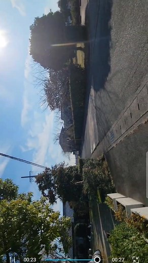 12 reactions | New title video flower and other華 | Sundeep Kumar Kamal | Facebook