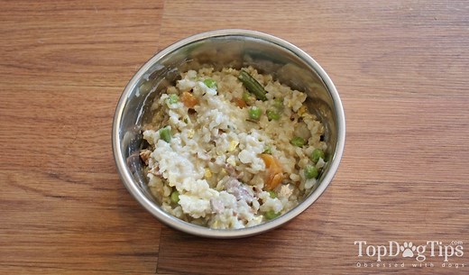 Recipe: Healthy Homemade Dog Food with Ground Beef