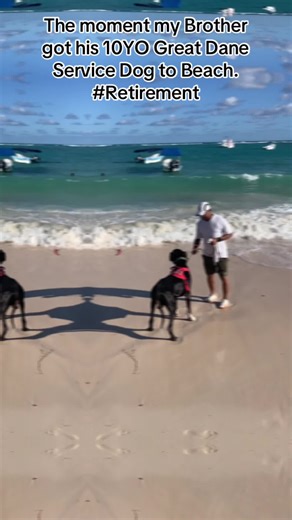 Kemetic Monk (@kemeticmonk)’s videos with Dogs For Life - DMX