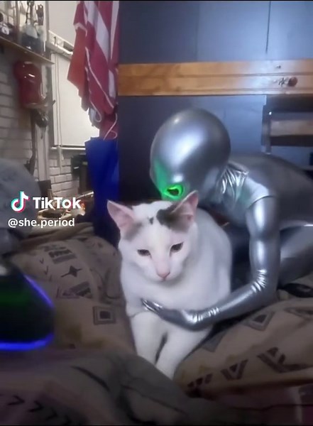 Hilarious Alien Cat Abduction Video