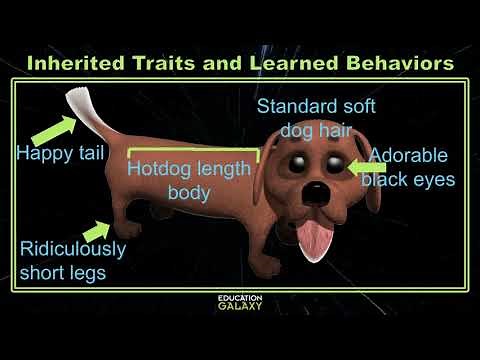 5th Grade - Science - Inherited Traits and Learned Behaviors - Topic Overview