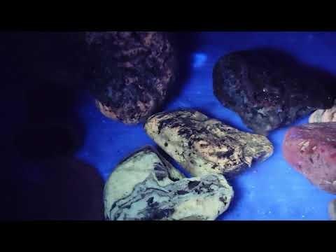 UV light on glass, rocks, and fossils of NE TX and the North Sulphur River.