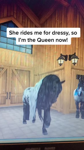 #queen #sso #POV #starstableonline #starstable #starstablefyp #fyp #foryoupage