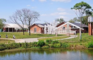 Floating seeds of Qinglong Lake, Chengdu, China by Archermit