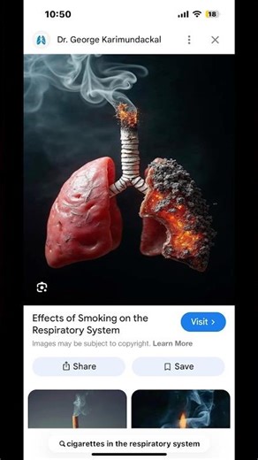 Vape respiratory system lg