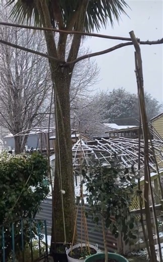 Snow is falling and settling in Athol and flurrying in Garston! Any at your place? 📸: Emma Griffin | More FM Queenstown, Wānaka & Central Otago