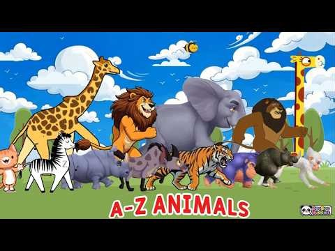 ABC Animals Sounds Song | Learn Alphabets with Animal names and sounds | BooBooBuddies