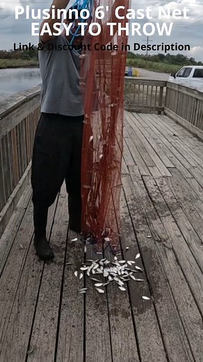 Bait SLAM! Catching lots of shad with the Plusinno frisbee cast net! 🤙 Just throw and tug, easy as that.🔥 . . . . #fishing #castnet #CastNetFishing #fishinglife #fisherman #bait #catchingbait #fishinggear #plusinno #reelsviral #fyp | PLUSINNO
