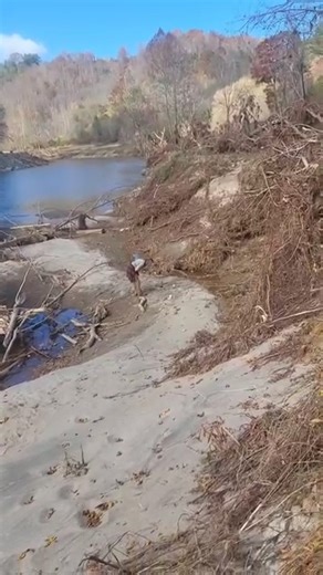 8.8K views · 404 reactions | The Toe River was forever changed by...