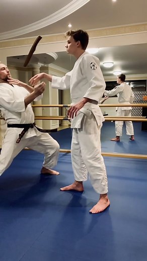 Aikido Practice with Tanto: Knife Defense Techniques