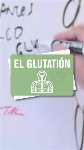 Glutation: un antioxidante que desintoxica 😯 👌🏼 #antioxidante #detox #glutation #cafe #naturalslim #franksuarez