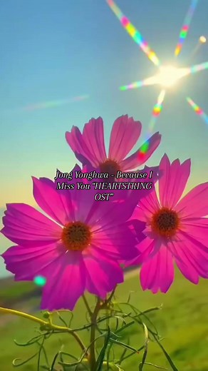 Jong Yonghwa - Because I Miss You “HEARTSTRING OST” #jongyonghwa #cnblue #heartstrings #becauseimissyou #because #i #miss #you #foryou #for #ost #drakor #drama #drakorost #drakorrekomendasi #drakorrecomended #dramakorea #dramatiktok #lirik #liriklagu #lirikvideo #lyricsvideos #lyricsvideo #lyrics_songs #f #fyp #fypシ゚viral #fypage #fypdongggggggg #bismillahfyp #bismillah #bismillahfypシ #viral #viralvideo #viral_video #baby #bestfriend #best #leeminho #f4 #masukberanda #masukberandafyp #masukfyp #