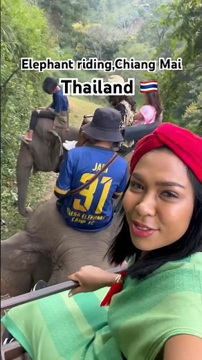 Amazing Elephant Ride! Chiang Mai, Thailand! 🇹🇭🐘