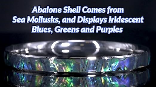 Abalone Shell Bangle Bracelet