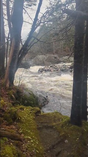 very splosh splish splash