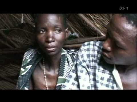 ダーウィンの悪夢