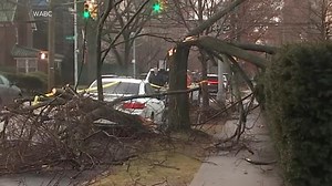 High winds hit Northeast from D.C. to Boston, leaving millions on alert