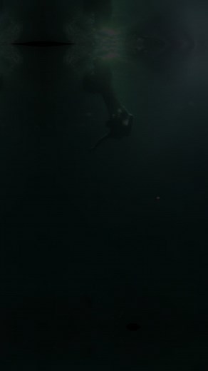 นางเงือกโดนัทในทะเลลึก: ความมหัศจรรย์แห่งโลกใต้ท้องทะเล