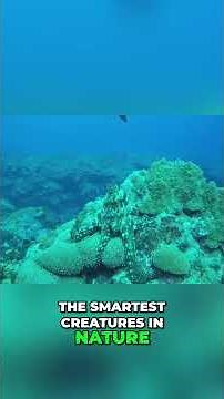Did You Know This Animal Can Do THIS?