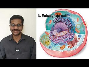 The origin and evolution of cells: how life found its way