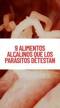 9 alimentos que podrían ayudar a apoyar la salud intestinal si tienes parásitos.#parasitos #salud