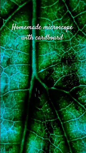 homemade microscope with cardboard and magnifying glass