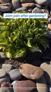 64 reactions | Experience the plant-powered joint pain relief of Arnicare® Arthritis Cream, formulated with Arnica and Harpagophytum to target minor arthritis pain* at its source. Shop online or in store at Walgreens. *Claims based on traditional homeopathic practice, not accepted medical evidence. Not FDA evaluated. Always read and follow label directions. | BOIRON USA | Facebook