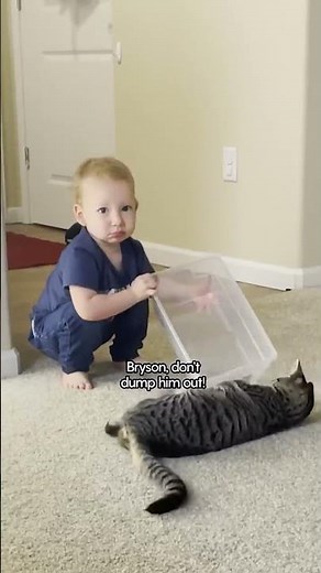 Toddler Rescues A Kitten From The Shelter And It's The Cutest Thing EVER | The Dodo