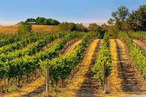 A 10-Day Itinerary For Washington, From Seattle to the Cascades & Beyond