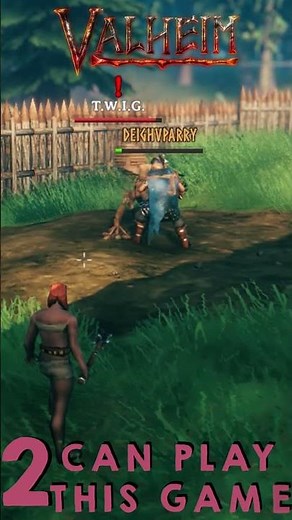 Valheim - Dummy vs. Dummy #gaming #valheim #twig