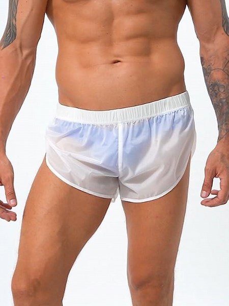 Men's Mesh Sheer Beach Shorts Swim Trunks