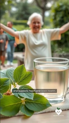 170. Seniors Should Try This Leaf – Natural Collagen Boost for Muscle Recovery