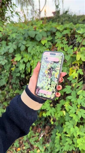 Download Col.or on the app store! Support my carrier