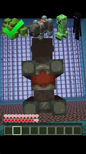 Minecraft Challenge That Broke My Brain