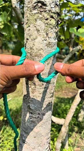 An amazing technique on how to easily tie and untie a rope to a tree.