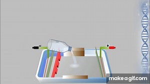 Agarose Gel Electrophoresis Animation on Make a GIF