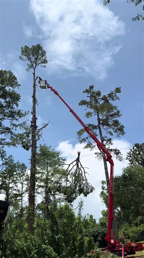 #protreeservice #treeworkdoneright #cranework #tally #