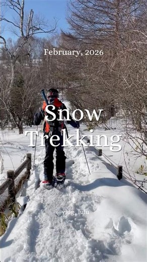 【Yashimagahara Wetlands】Family Snow Trekking in Yashimagahara Wetlands 🏔️