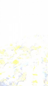 🌊☀️ Experience our Water Wonderland from #PuntaGorda to #EnglewoodBeach #BestSideOutside #LoveFL 👉️Learn More: https://www.pureflorida.com/things-to-do/boating-watersports/ | Punta Gorda/Englewood Beach