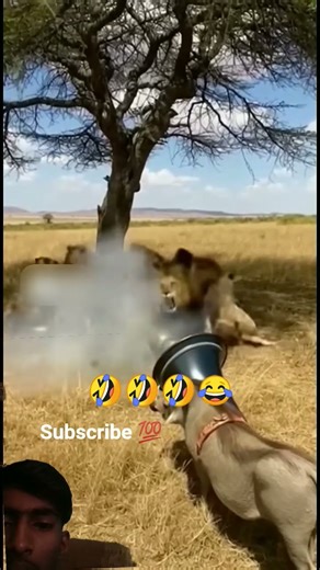 😂 Funny Cartoon That Will Make You Laugh Instantly!🤣 This Cartoon Moment Is Too Funny!😆 #funny