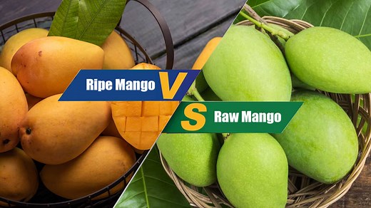 Confused Between Ripe And Unripe Mango? Experts Share Which Is A Better Option For Your Health