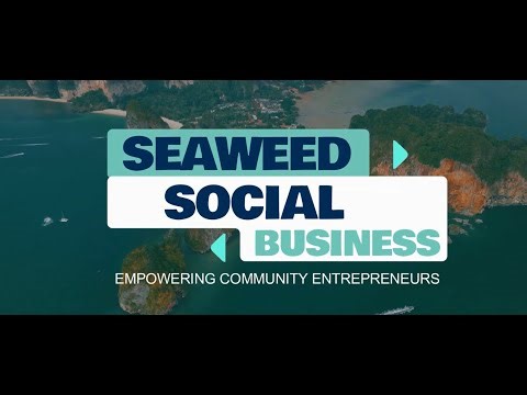 Seaweed Social Business (Yunus Foundation)