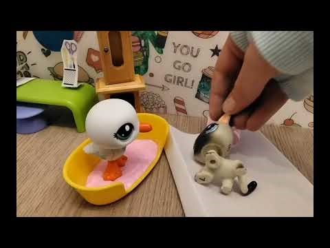 LPS Celebrity 1 rész : A nagy meglepetés!