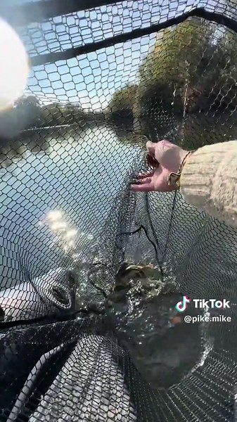 Voilà comment je procède . #peche #astuce #partage