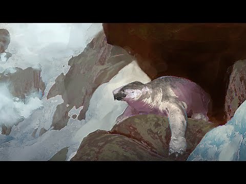 How Could Turtles Evolve to Survive the Cold?