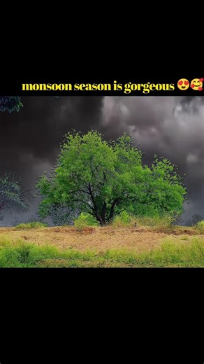 wether| mosam|new video #music #song #viral #minivlog